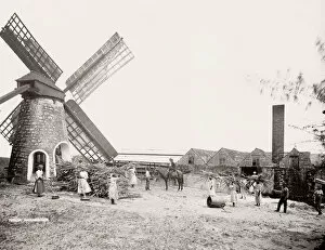 Processing Gallery: Sugar processing mill, windmill, Barbados, West Indies