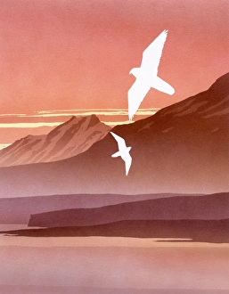 <b class=qtipBold><figcaption>A sunset Fantasy landscape</figcaption></b><br>A sunset Fantasy landscape, with two birds of prey (Peregrine Falcons?) swooping across a landscape of high peaks, a still sea and enveloping mists. Airbrush painting by Malcolm Greensmith<br><em>© Mary Evans/Malcolm Greensmith</em> A sunset Fantasy landscape
