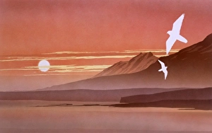 A Sunset Fantasy landscape A Sunset Fantasy landscape