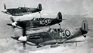 Supermarine Seafire IIC trio (forward view) aloft Supermarine Seafire IIC trio (forward view) aloft