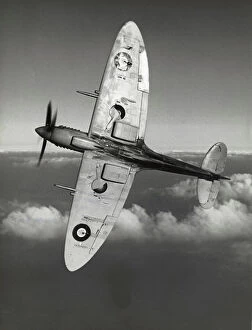 Wing Gallery: Supermarine Spitfire 8 / VIII