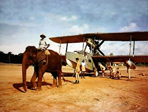 Supermarine Walrus -seen being towed by elephant Supermarine Walrus -seen being towed by elephant