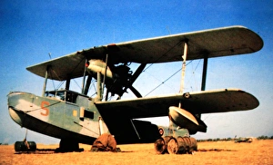 Supermarine Walrus -the standard Royal Navy catapult ai Supermarine Walrus -the standard Royal Navy catapult ai