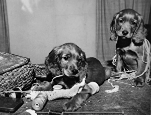 Susi and friend with knitting and sewing things Susi and friend with knitting and sewing things
