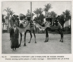 Syrian Wedding Train - camels bearing drums and drummers Syrian Wedding Train - camels bearing drums and drummers