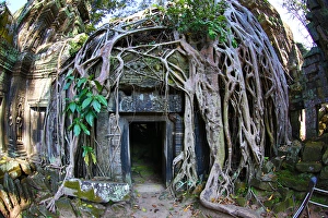 Ta Phrom, Khmer Temple in Angkor, Siem Reap, Cambodia Ta Phrom, Khmer Temple in Angkor, Siem Reap, Cambodia