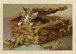 <b class=qtipBold><figcaption>Tabby Kitten in Basket</figcaption></b><br>A tabby kitten peeks out from a basket.<br><em>© Mary Evans Picture Library</em> Tabby Kitten in Basket