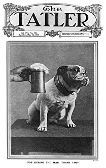 Tatler Gallery: Tatler cover - Britain abstains from drinking, WW1