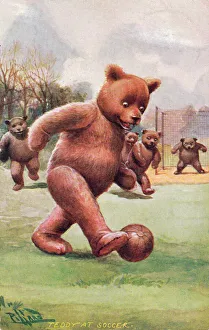 Goal Gallery: Teddy bear playing football