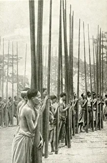 Telegraph poles for railway, Tanganyika, East Africa Telegraph poles for railway, Tanganyika, East Africa