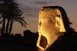 Temple of Luxor. Avenue of the Sphinxes. Detail Temple of Luxor. Avenue of the Sphinxes. Detail