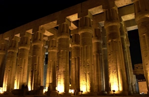 Temple of Luxor. Night view of the hypostyle. Egypt Temple of Luxor. Night view of the hypostyle. Egypt