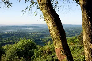 Blackdown Gallery: Temple of Winds on Blackdown / Black Down hill