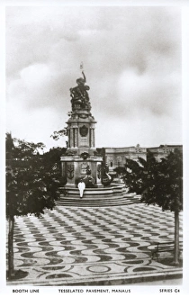 Nations Gallery: Tesselated pavement, Manaus, northern Brazil