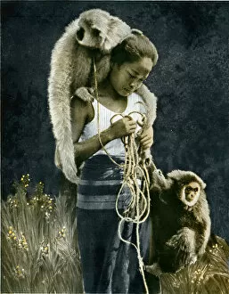 Gibbons Gallery: Thai woman accompanied by two gibbons