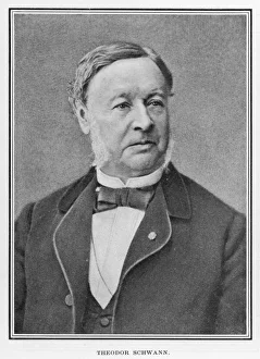 Theodor Schwann, German physiologist Theodor Schwann, German physiologist
