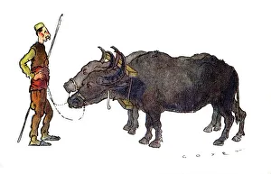 Thessaloniki, Greece - Macedonian Buffalo and Driver Thessaloniki, Greece - Macedonian Buffalo and Driver