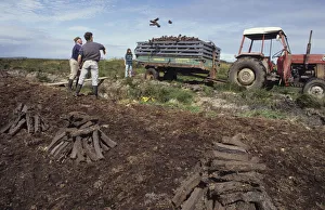 Throwing peat into trailer during peat cutting, County Clare Throwing peat into trailer during peat cutting, County Clare