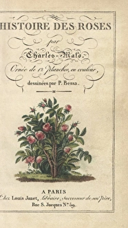 Title page with calligraphic title and vignette Title page with calligraphic title and vignette