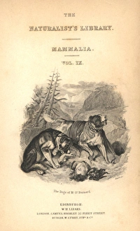Title page with vignette of St Bernard dogs Title page with vignette of St Bernard dogs