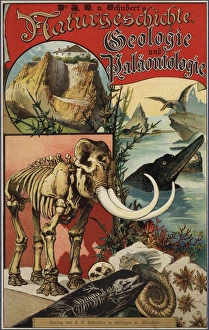 Title page with vignettes of dinosaurs, skeletons Title page with vignettes of dinosaurs, skeletons
