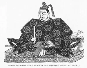 Dynasty Collection: Tokugawa Ieyasu