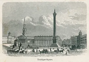 <b class=qtipBold><figcaption>Trafalgar Sq before Lion</figcaption></b><br>Trafalgar Square before the lions came.<br><em>© Mary Evans Picture Library</em> Trafalgar Sq before Lion