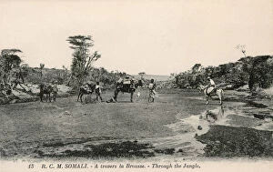 Riverbed Gallery: Travelling through Somalias savanna
