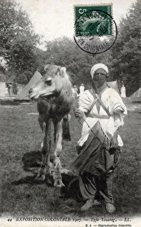 Related Images Collection: A Tuareg with his camel - French Colonial Exhibition