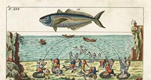 Tuna fishing method and horse mackerel Tuna fishing method and horse mackerel
