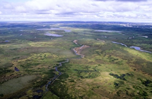 Russia Gallery: Tundra - aerial view from a helicopter