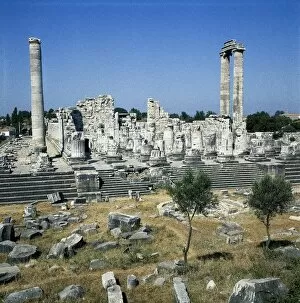Hellenic Gallery: TURKEY. Didyma. Temple of Apollo. Temple of the