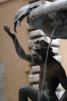 Raise Gallery: The Turtle Fountain. Detail. Turtle and bronze ephebe.16th c