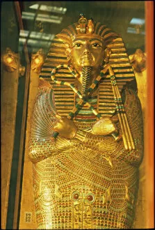 Pharoah Collection: Tutankhamun Sarcophagus