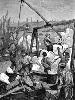 Unloading Ice at the London Docks, 1874 Unloading Ice at the London Docks, 1874