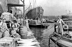 Barrels Gallery: Unloading Ships at London Docks, 1908