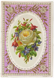 <b class=qtipBold><figcaption>Valentine Card</figcaption></b><br>A white rose surrounded by other flowers<br><em>© Mary Evans Picture Library</em> Valentine Card