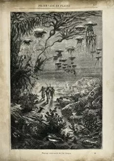 Images Dated 12th December 2012: VERNE, Jules (1828-1905). Illustration of 20000