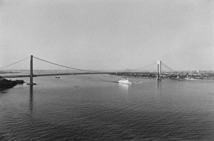 Viaducts Gallery: Verrazano Bridge