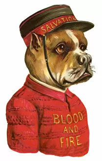 Salvation Collection: Victorian scrap - Salvation Army bulldog