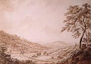 <b class=qtipBold><figcaption>View in Glenarm Deer Park</figcaption></b><br>View in Glenarm Deer Park. Barralet, John James c1747 - 1815. Date:<br><em>© National Museums NI / MARY EVANS</em> View in Glenarm Deer Park