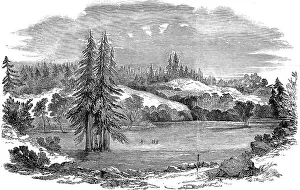 A view near Russian River, California, 1851 A view near Russian River, California, 1851