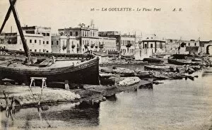 View of the old port, La Goulette, Tunisia, North Africa