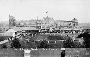 Racehorses Gallery: View of paddock and grandstand, Newbury racecourse