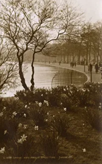 View of the Serpentine, Hyde Park, London - Springtime View of the Serpentine, Hyde Park, London - Springtime