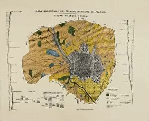 Cartographic Gallery: VILANOVA i PIERA, Joan (1821-1893). Agronomic map