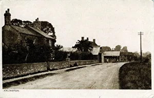 Sussex Gallery: 
