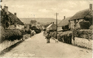 Bridport Gallery: The Village, Chideock, Dorset