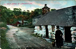 The Village, Llanuwchllyn, Merionethshire The Village, Llanuwchllyn, Merionethshire
