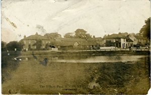 The Village Pond, Wold Newton, Driffield, England The Village Pond, Wold Newton, Driffield, England
